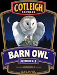 Barn Owl